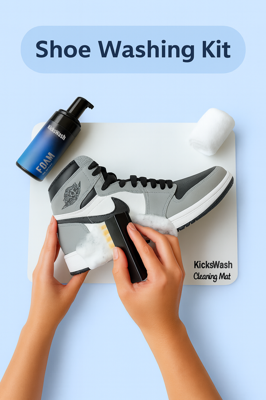 Shoe Cleaning Kit
