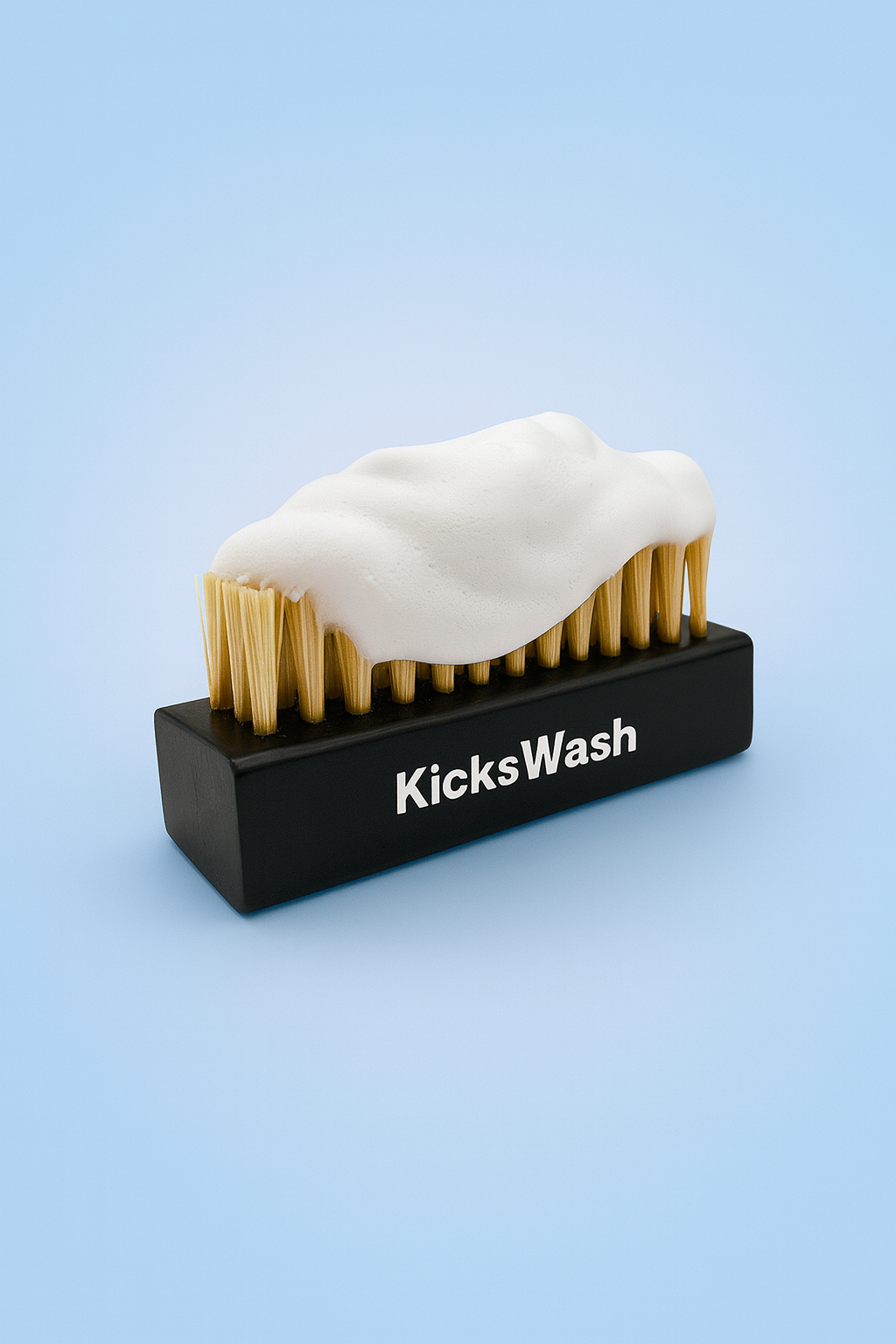 Shoe Cleaning Kit